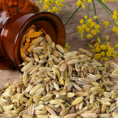 Плоды фенхеля